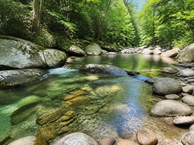 Editorial image of a shallow forest creek swimming pocket with smooth rocks