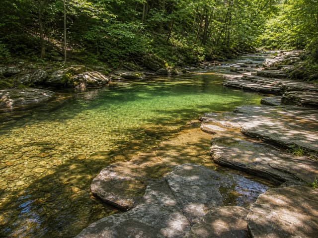 Editorial image of a responsible creekside picnic setup near calm water