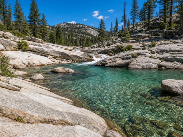 Editorial image of a cypress-lined spring run with clear water