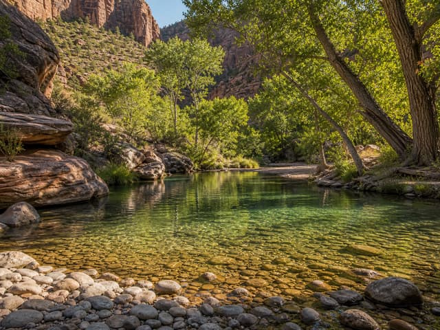 Editorial image of an emerald pool below a gentle cascade in a fern ravine