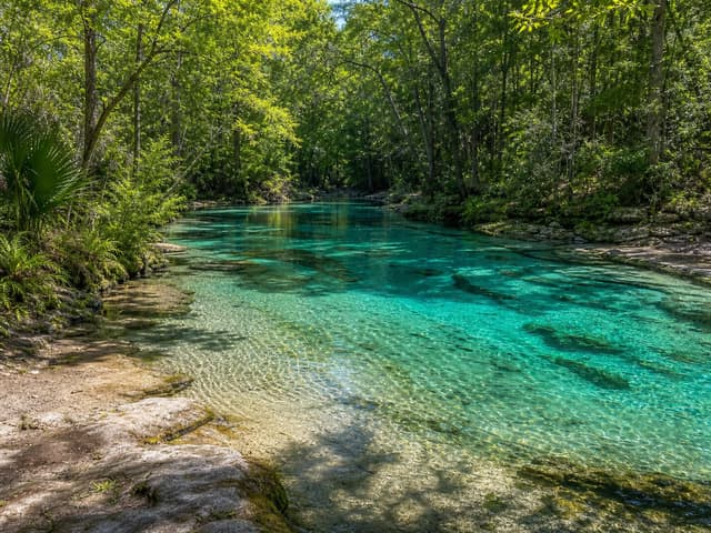 Editorial image of a clear limestone spring pool in a shaded forest