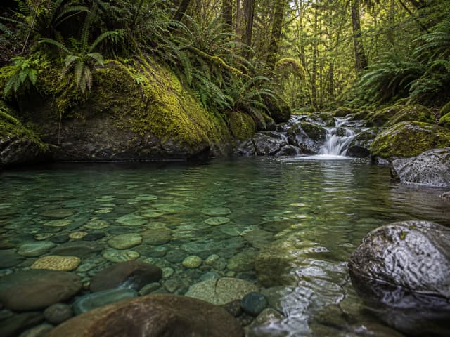 Editorial image of a clear river swimming hole below a limestone bluff