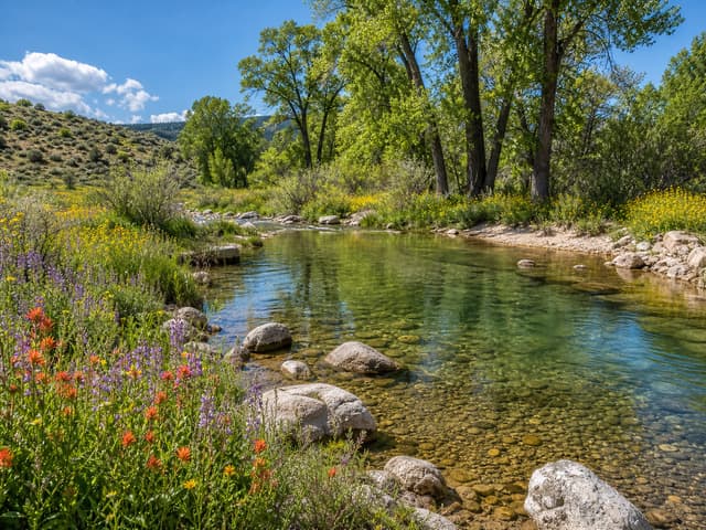Editorial image of a shaded creek pool with a smooth rock shelf