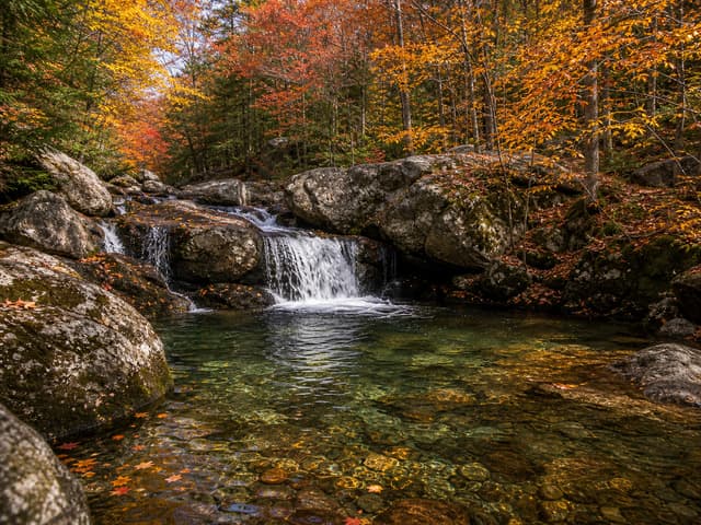 Editorial image of a spring creek swimming hole bordered by wildflowers