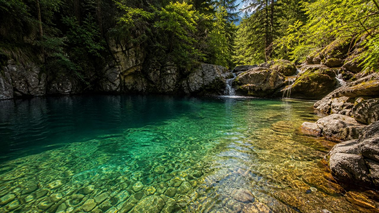 Clear natural swimming hole with forest, rock ledges, and a small waterfall