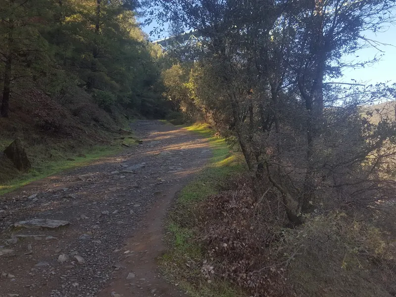 A shaded rocky path with trees in the Auburn American River canyon setting