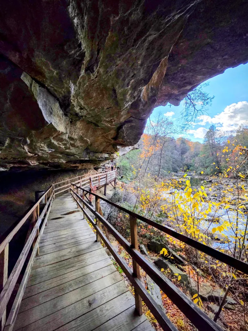 Wooden boardwalk beneath the Alum Cave rock overhang beside the river at Audra State Park, shown as hiking context rather than a swimming approach