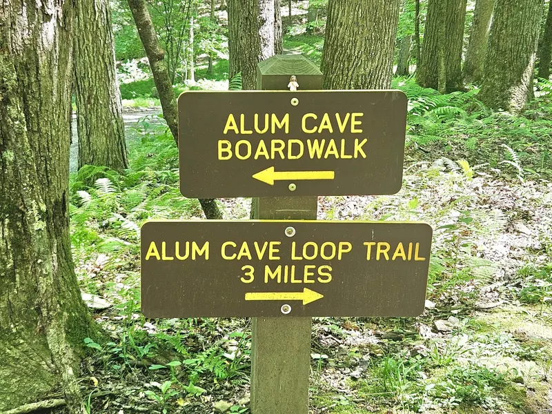 Woodland signs pointing toward the Alum Cave boardwalk and loop trail at Audra