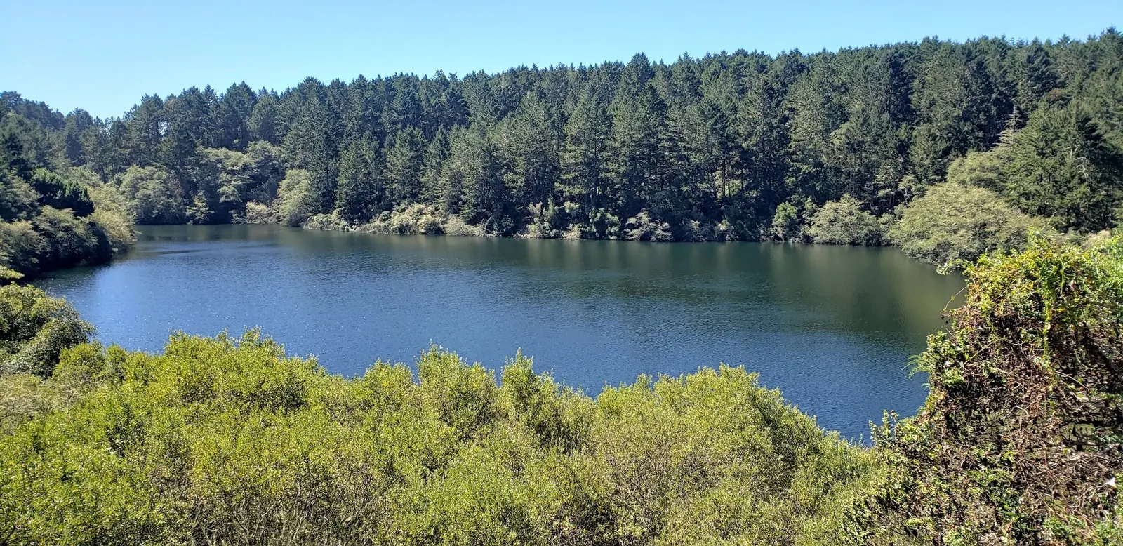 Bass Lake near Bolinas surrounded by wooded slopes and dense shoreline vegetation