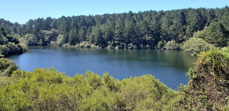 Bass Lake near Bolinas surrounded by wooded slopes and dense shoreline vegetation