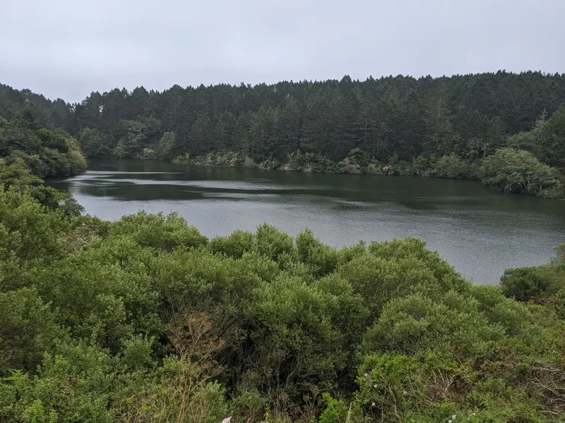 View across Bass Lake near Bolinas toward a forested hillside under an overcast sky