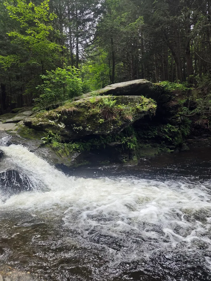 Bellevue Falls cascade flowing beside moss-covered rock ledges in Adams