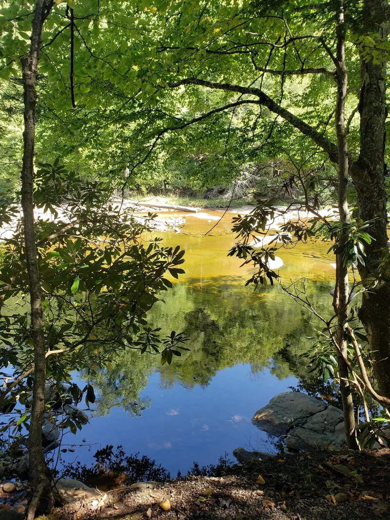 Shaded riverbank framed by leafy trees in the Bemis Campground collection; regional scenery, not an identified Mule Hole swimming entry