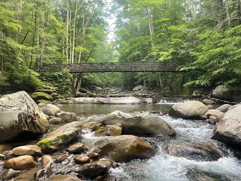 Rocky creek flowing beneath a wooden-railed bridge amid forest in the Big Creek Picnic Area photo collection