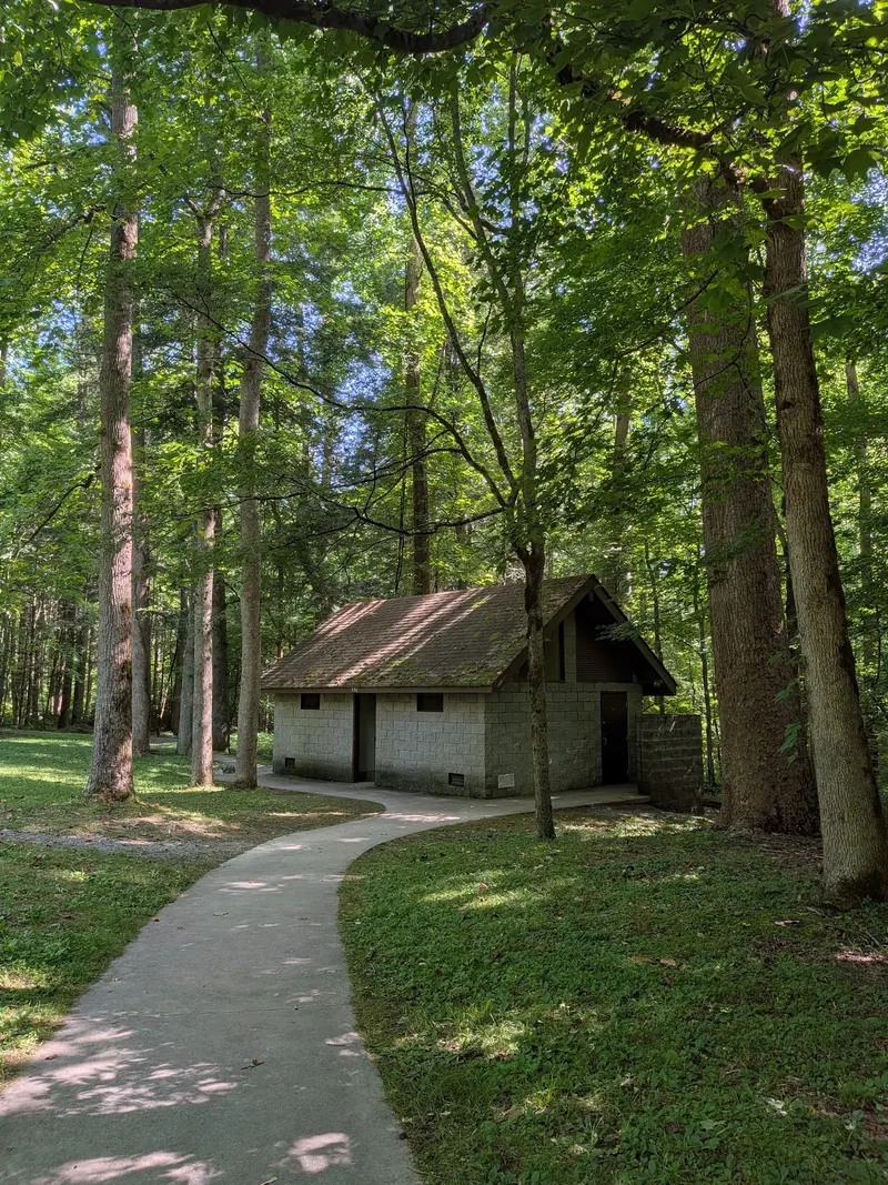 Empty facility building and paved path beneath tall trees in the Big Creek Picnic Area photo collection
