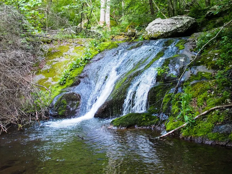 Big Rock Falls cascading over moss-covered rock into a wooded pool