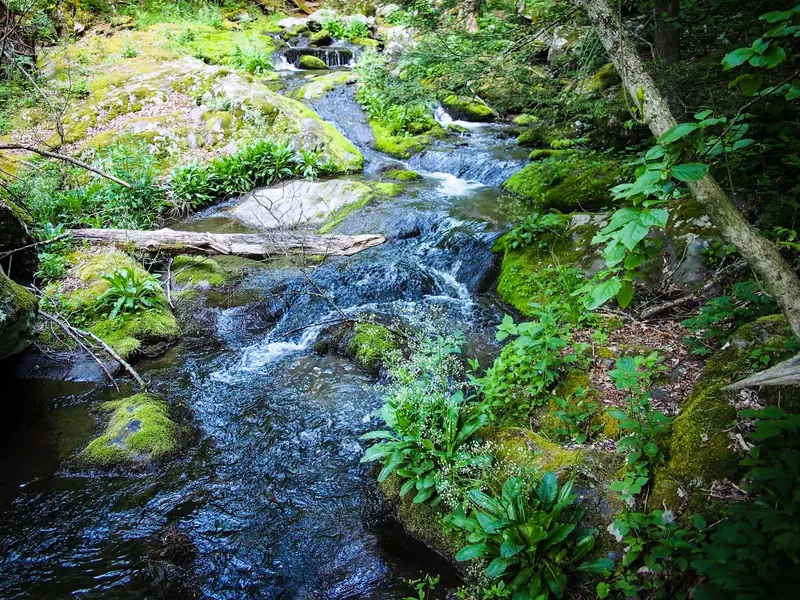 Small cascades and mossy rocks along Mill Prong at Big Rock Falls