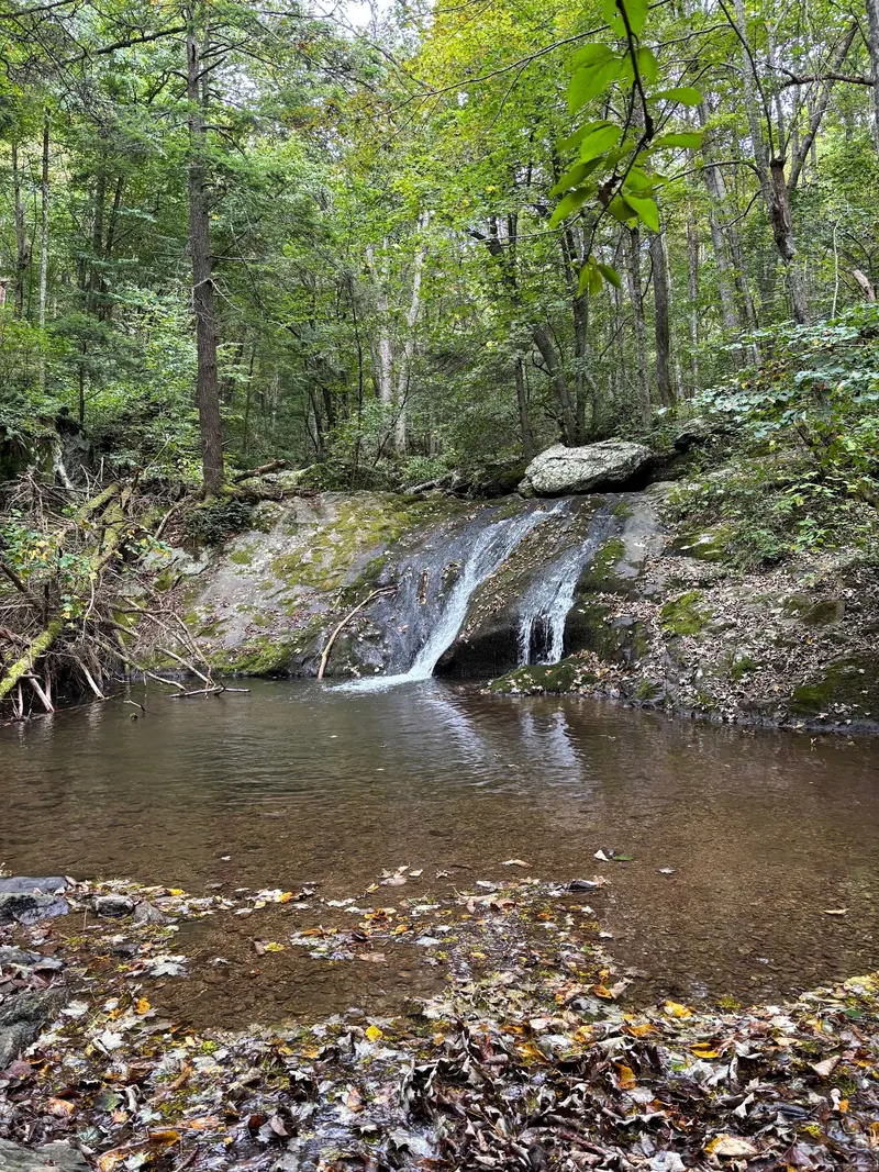 Wider view of Big Rock Falls and the rocky pool edge with fallen leaves