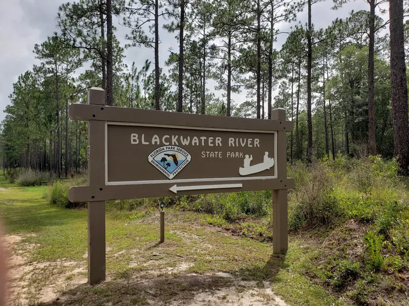 Blackwater River State Park entrance sign surrounded by pine trees
