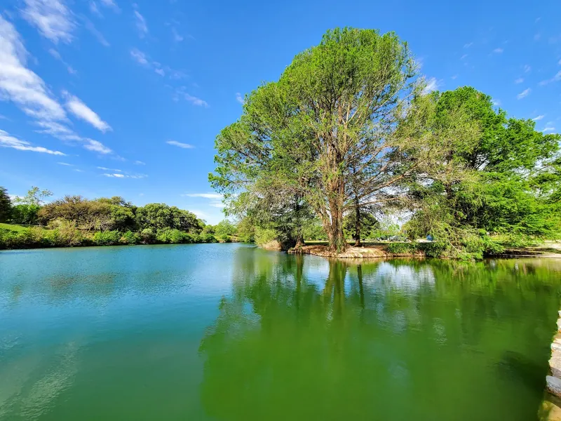 Trees reflected in a broad stretch of the Blanco River at Blanco State Park