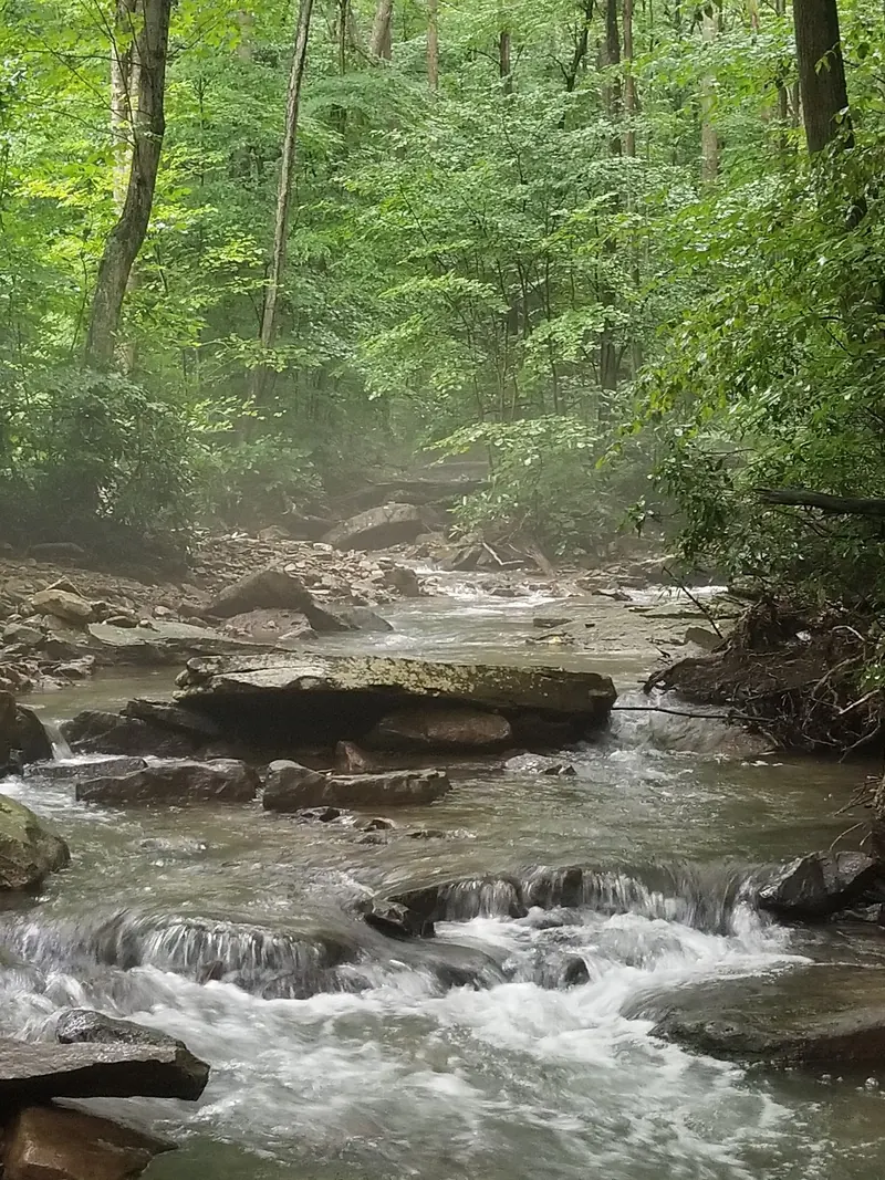 Historical rocky creek channel in the Blue Hole collection; flowing-water scenery, not a verified safe swimming route