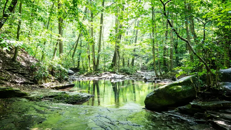 Historical forest reflections and rock shelves at Blue Hole Creek; photographer watermark retained, not current water-quality clearance