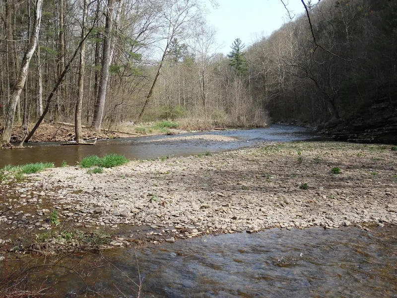 Wooded river channel and broad gravel bar beside layered rock banks in the Bergton Blue Hole collection