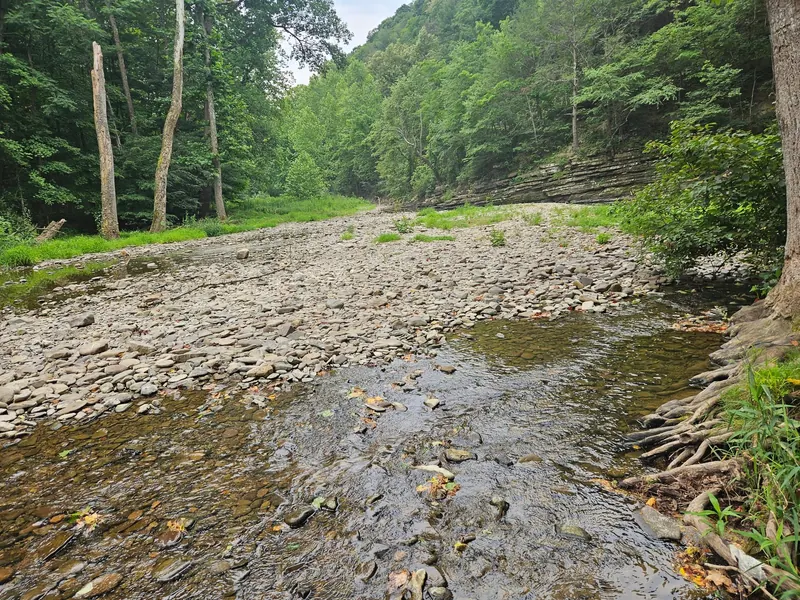 Exposed stones and narrow flowing channel beside a layered rock wall at Bergton Blue Hole