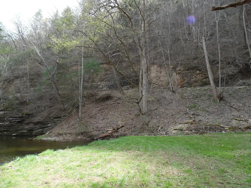 Grassy riverbank below a wooded slope and exposed rock layers in the Bergton Blue Hole collection