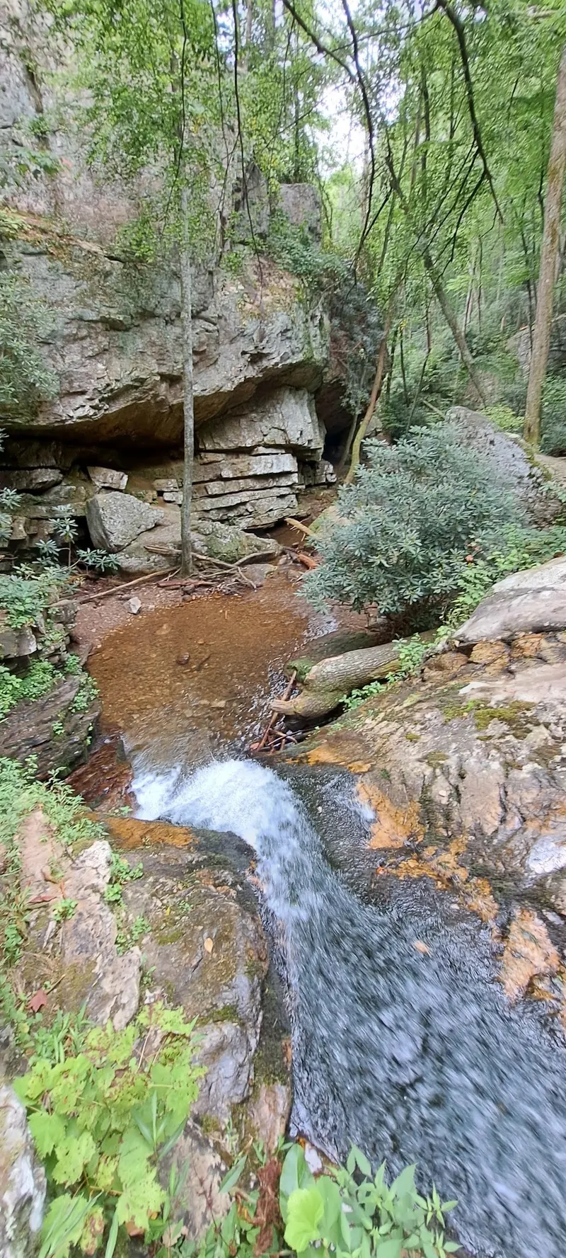 Water flowing through a rocky channel beside layered gorge walls in the Elizabethton Blue Hole collection