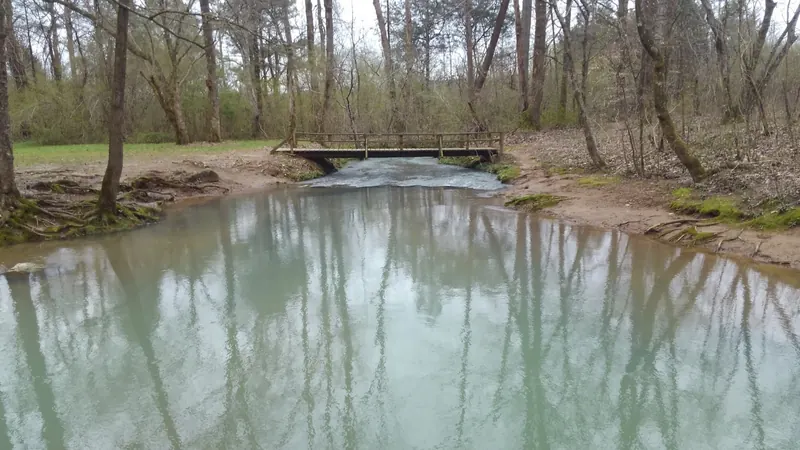 Woodland pool and wooden footbridge in a saved Pigeon Mountain Blue Hole photo