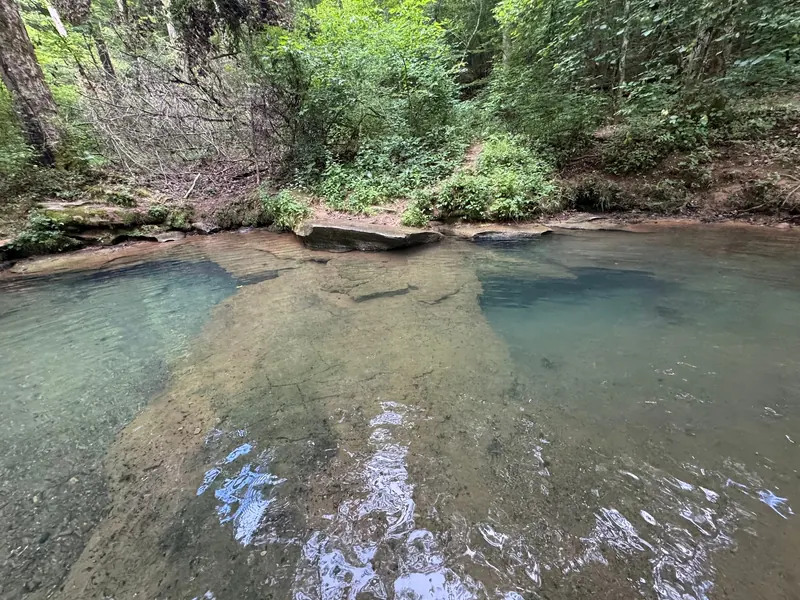 Clear pool with a rocky floor and woodland in a saved Pigeon Mountain Blue Hole photo