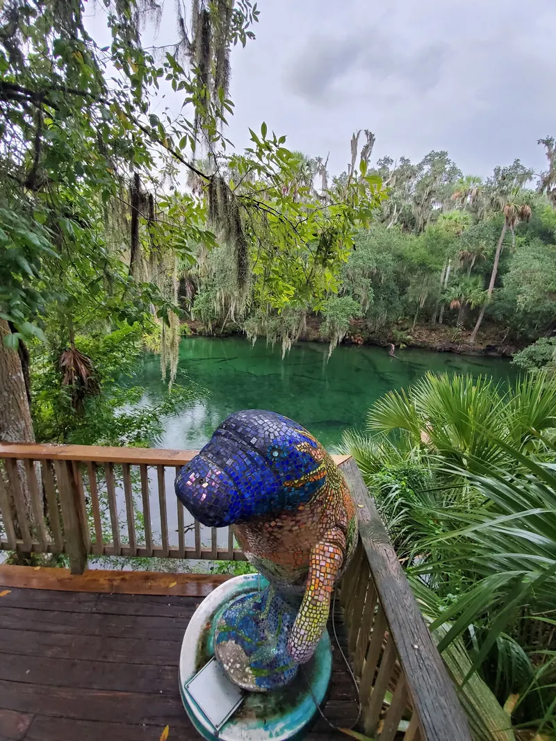 Mosaic manatee sculpture beside a wooden overlook above the Blue Spring run