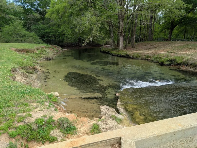 Spring outflow beside grassy banks and picnic tables at Blue Springs State Park, Alabama