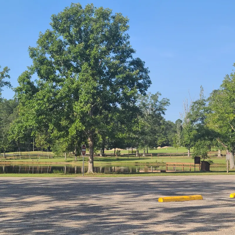 Parking spaces beside a pond, shade trees, and a small dock at Blue Springs State Park, Alabama