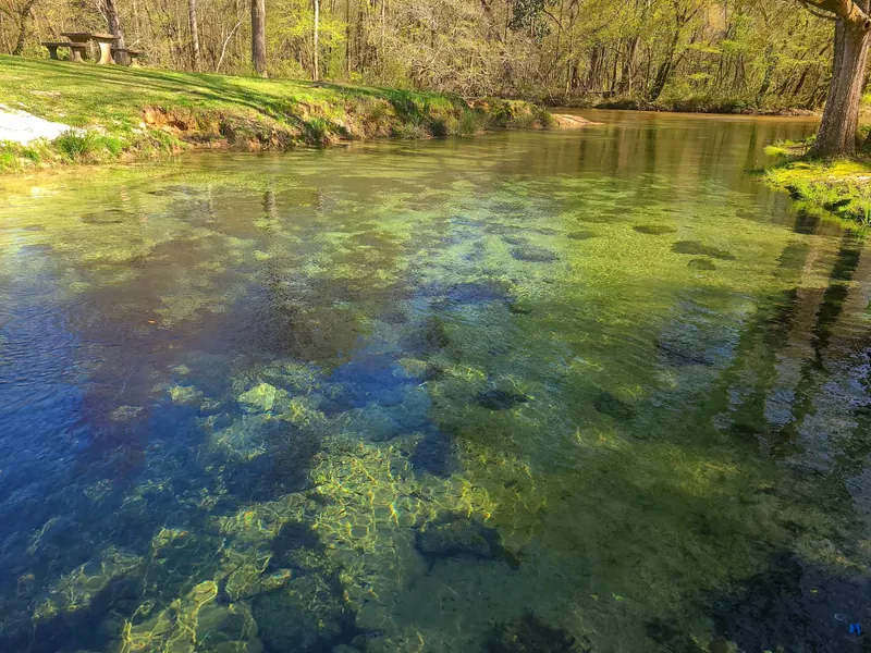 Submerged stones visible in the spring outflow at Blue Springs State Park, Alabama