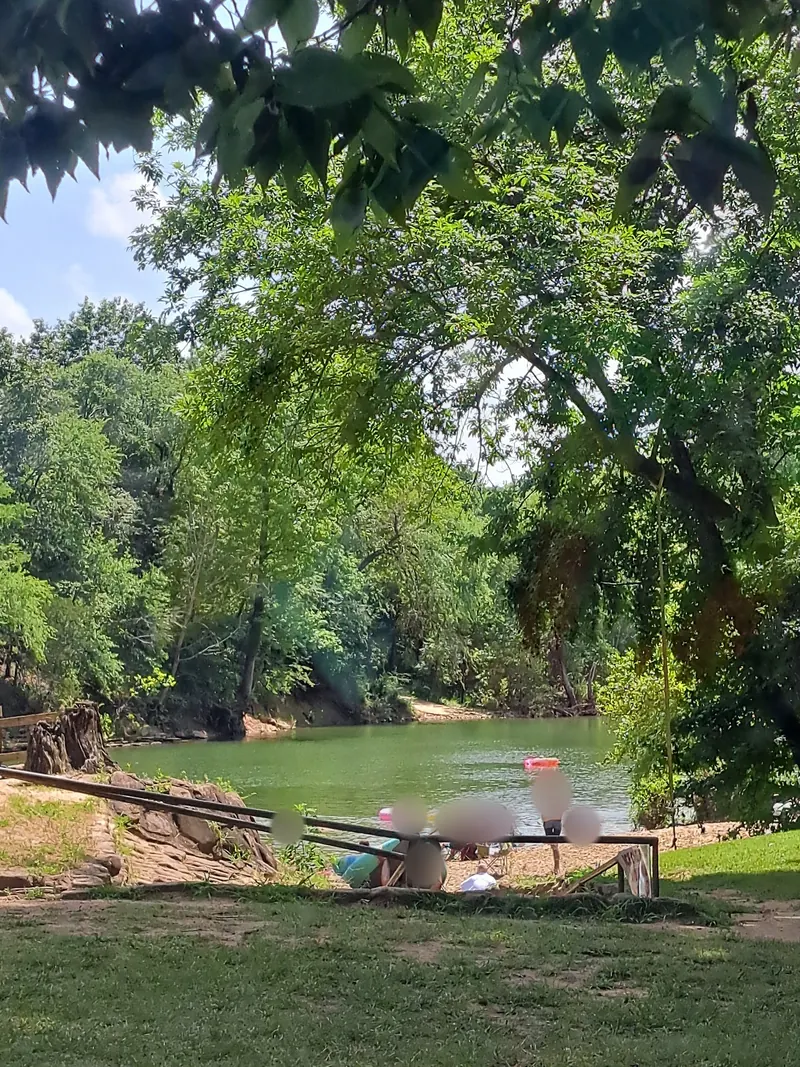 Shaded grassy bank and handrail overlooking the river at Bluff Hole Park, with visitor regions blurred; historical approach context, not a verified accessible entry