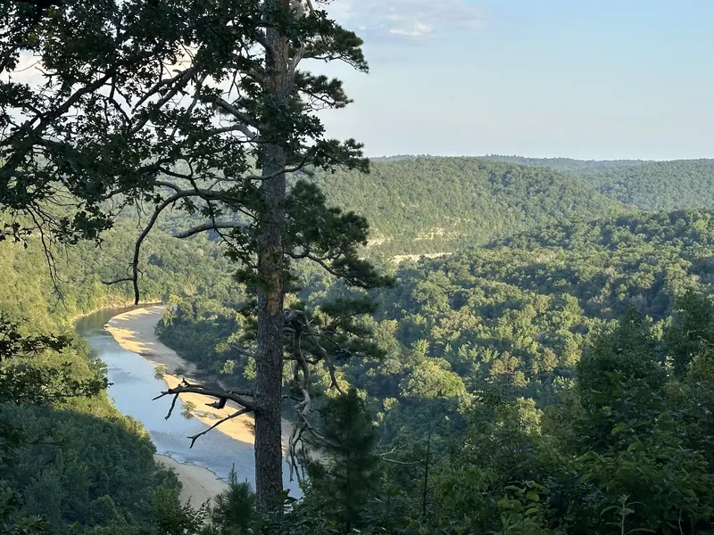 Buffalo River bend and gravel bar viewed through trees near Buffalo Point; overlook scenery, not water-entry directions