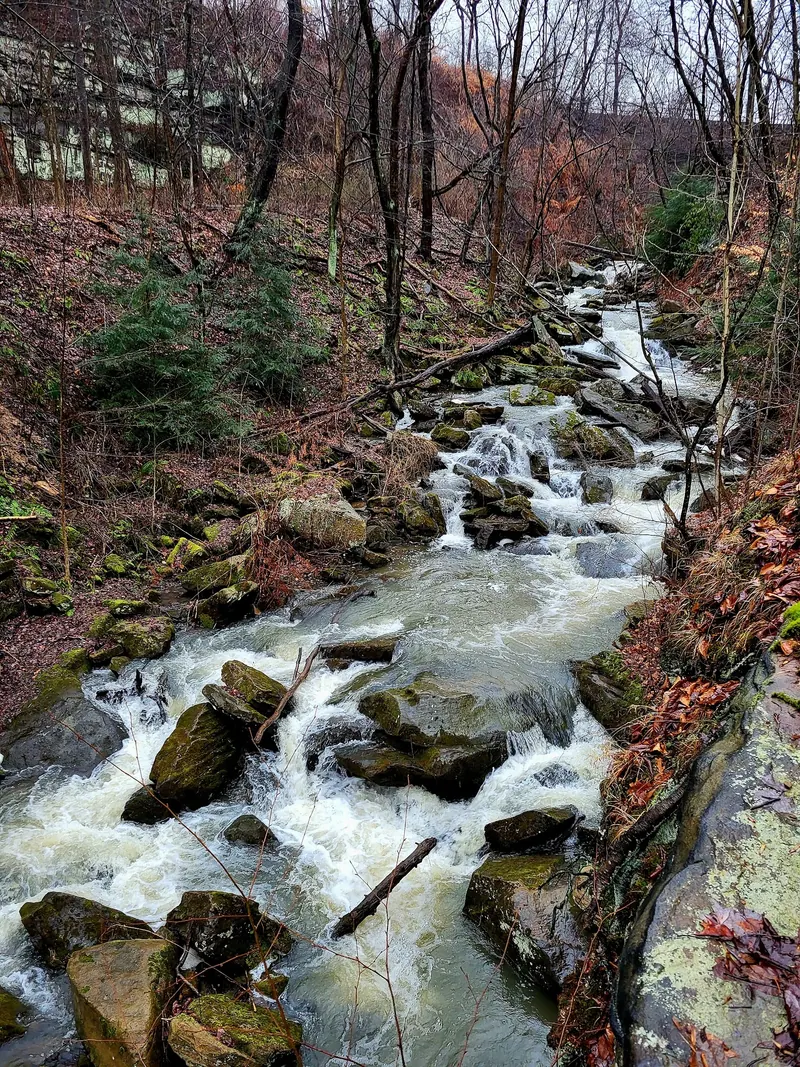 White water flowing around boulders and fallen branches in a leafless wooded ravine near Homewood Buttermilk Falls