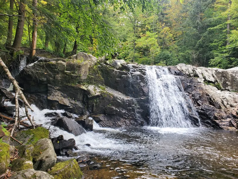Buttermilk Falls flowing over rock ledges into a wooded pool in Ludlow, Vermont