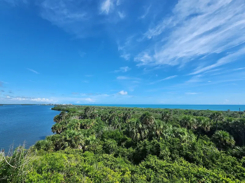 Elevated view of palms and coastal vegetation between lagoon water and the ocean in the Canaveral National Seashore collection