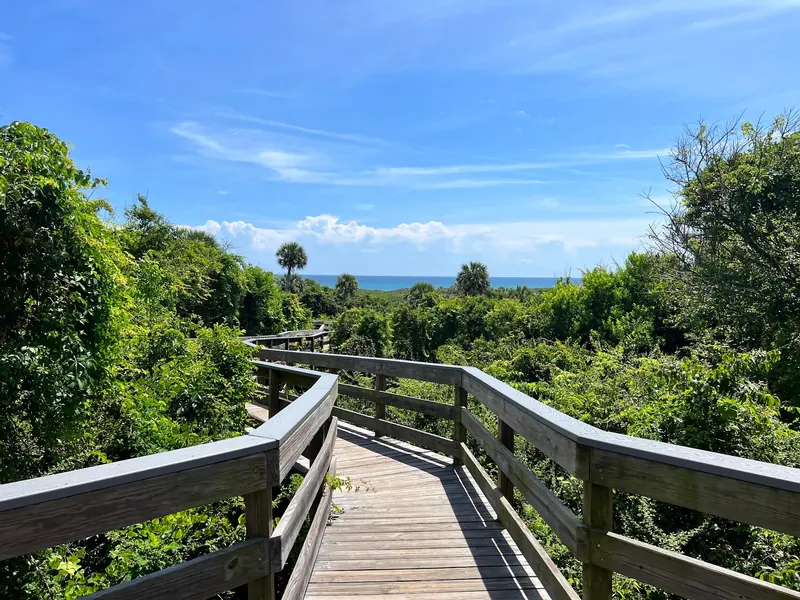 Wooden boardwalk winding through dense coastal vegetation toward the ocean in the Canaveral National Seashore collection
