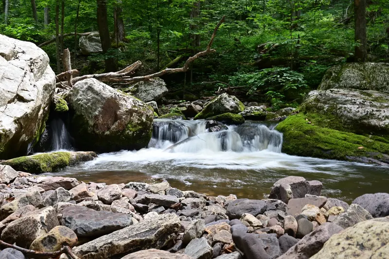 Small stream cascade flowing between mossy boulders in the Cascades trail photo collection