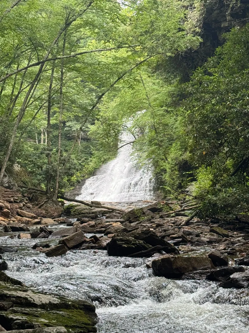 Rocky Little Stony Creek foreground with Cascade Falls framed by green branches