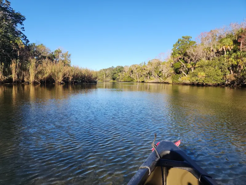 Paddling view along a broad channel in the Chassahowitzka River photo collection