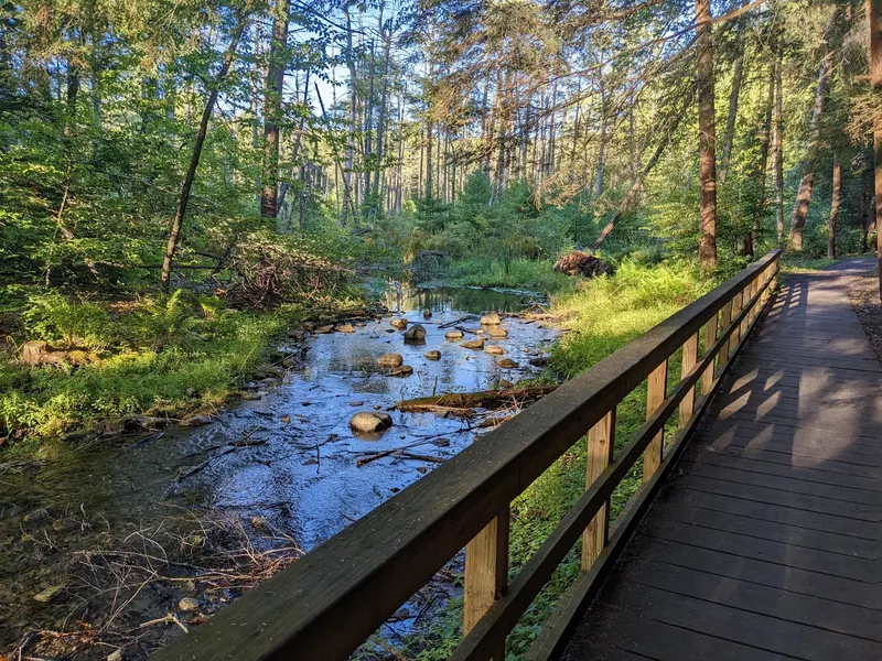 Wooden park walkway beside a shaded stream at Chenango Valley State Park