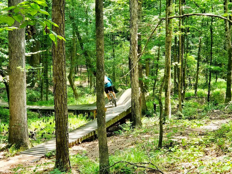 Cyclist seen from behind on a wooded riding feature at Chewacla, not the swimming-beach approach