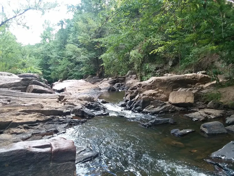 A rocky creek channel bordered by woodland at Chewacla State Park