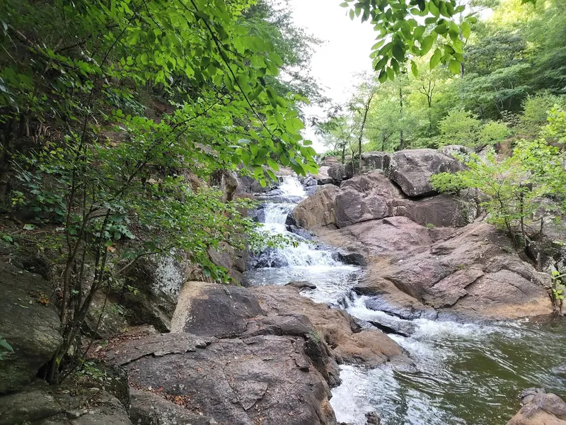 Cascade over broad rocks among trees in the Chewacla park photo set, not a verified swimming entrance