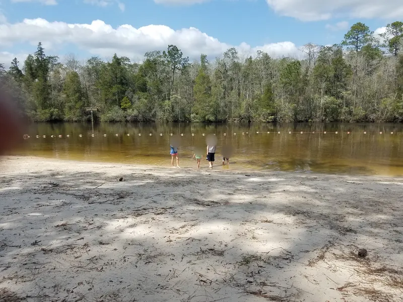 Historical sandy shoreline and buoy line at Chickasabogue Park, with visitor facial regions blurred; not a current beach-opening notice